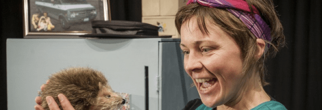 Screen Shot 2016-12-26 at 11.51.17.png