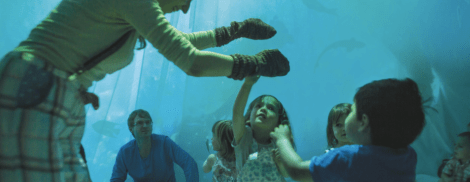 Screen Shot 2017-01-20 at 16.46.00.png